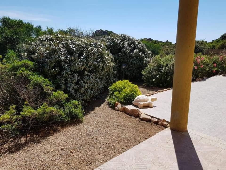 Casa Vacanze Villa Sandrina Коста Парадизо Екстериор снимка